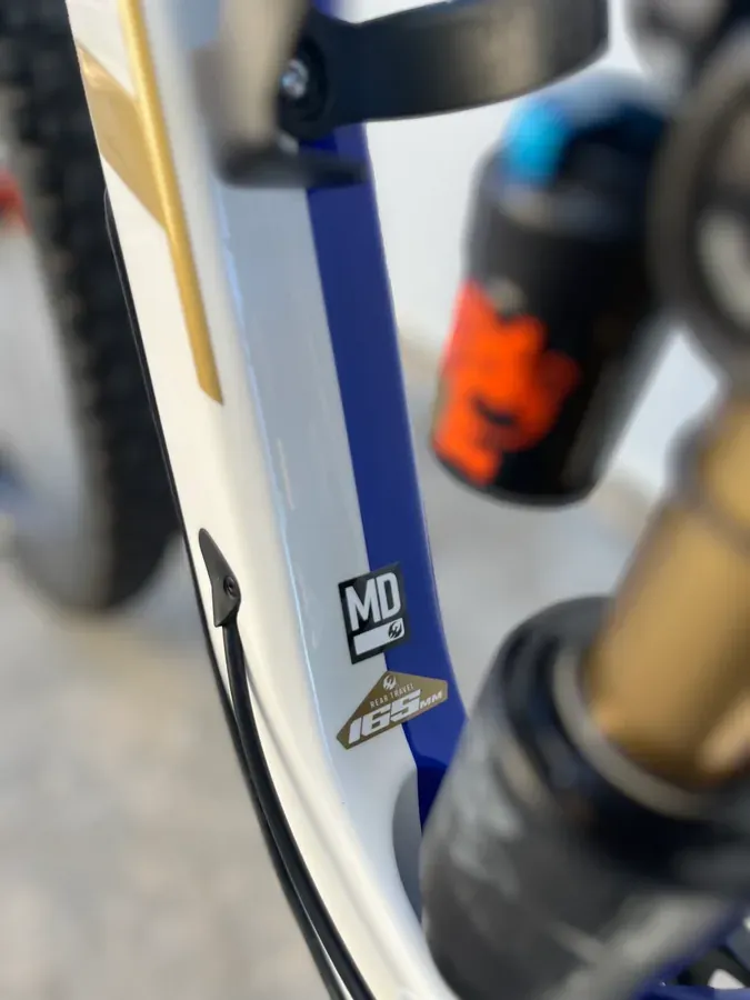 Pivot Firebird PFR 20